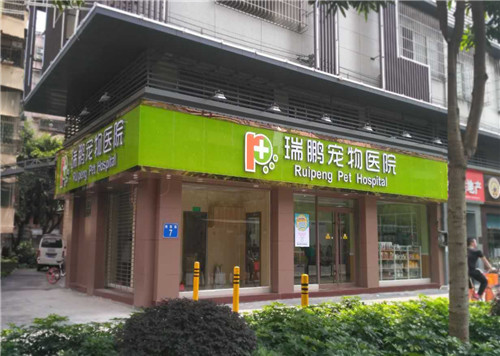 长沙宠物医院