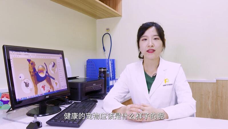 如何挑选一只健康的宠物？ 