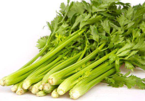 狗狗能吃芹菜吗