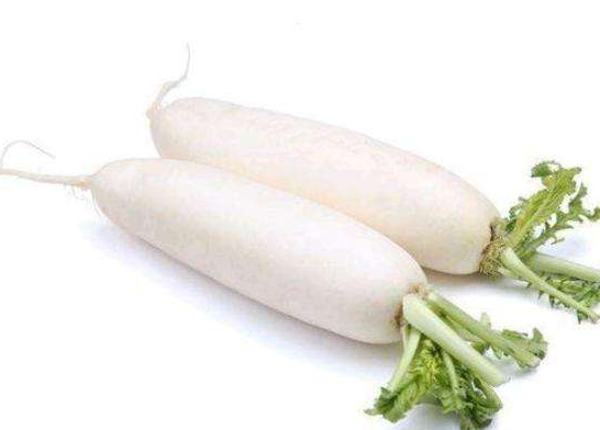 狗狗能吃白萝卜吗