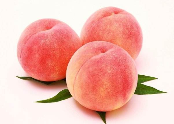 猫可以吃桃子吗