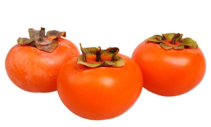 狗狗能吃柿子吗