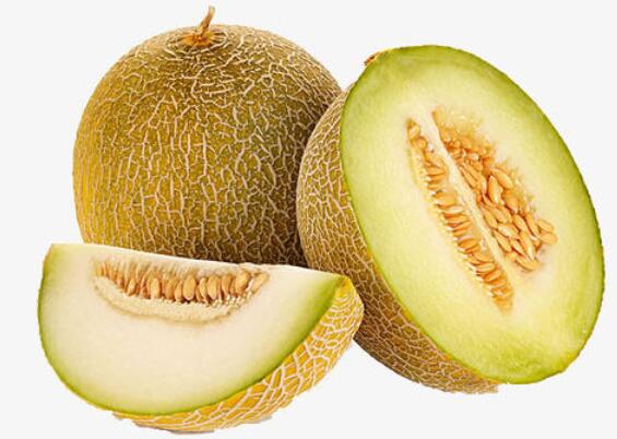 猫能吃哈密瓜吗
