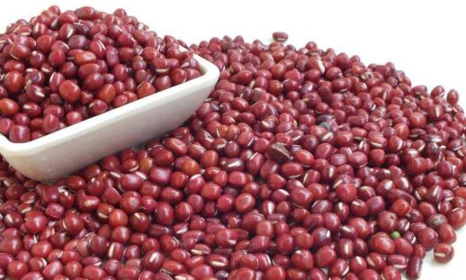 狗狗能吃红豆吗