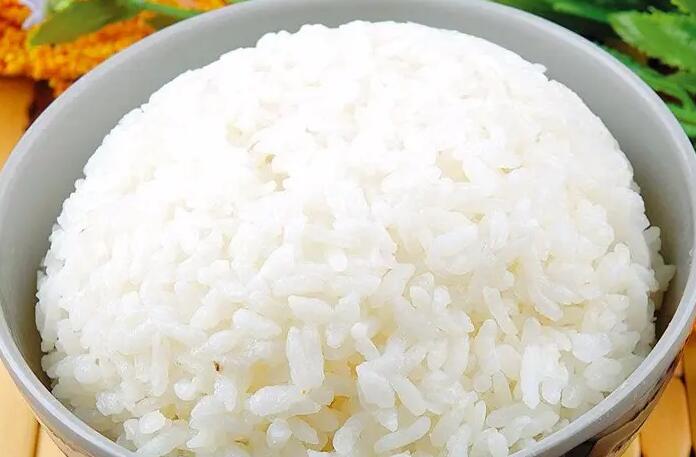 狗狗不好好吃饭怎么办