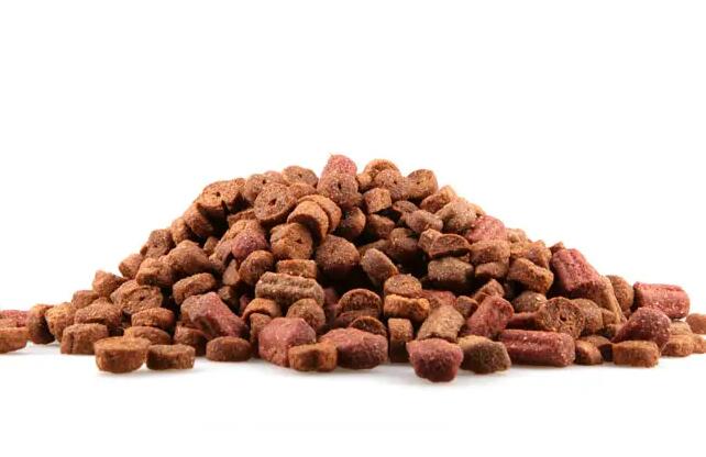 狗狗不好好吃饭怎么回事