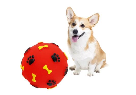 狗狗喜欢什么玩具