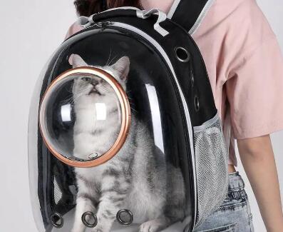 夏天用什么猫包