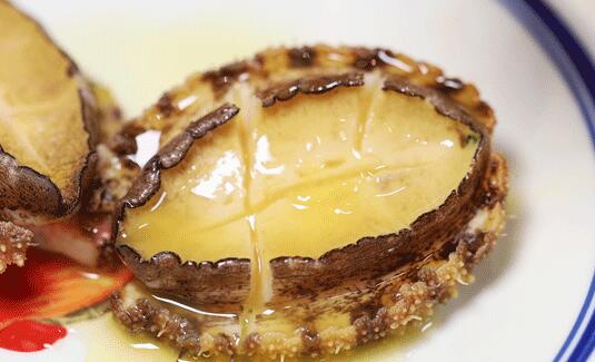 猫可以吃鲍鱼吗