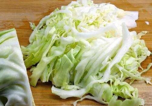 猫可以吃包菜吗