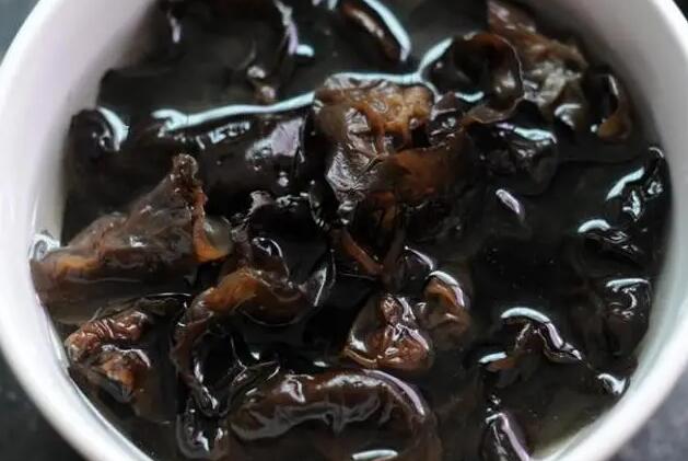 猫可以吃木耳吗