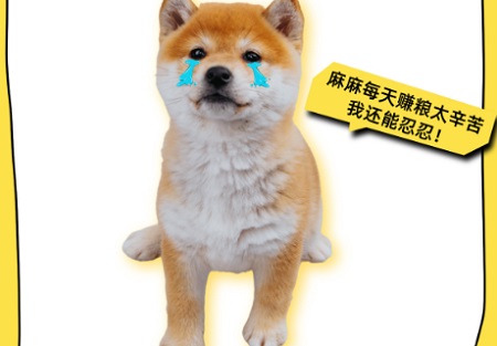 狗狗驱虫用啥药？