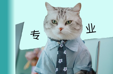 猫耳螨反复不好怎么办？