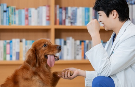 宠物店寄养狗狗多少钱一天？